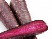 ZANAHORIA MORADA
